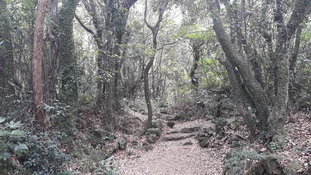 Proverbial Trails