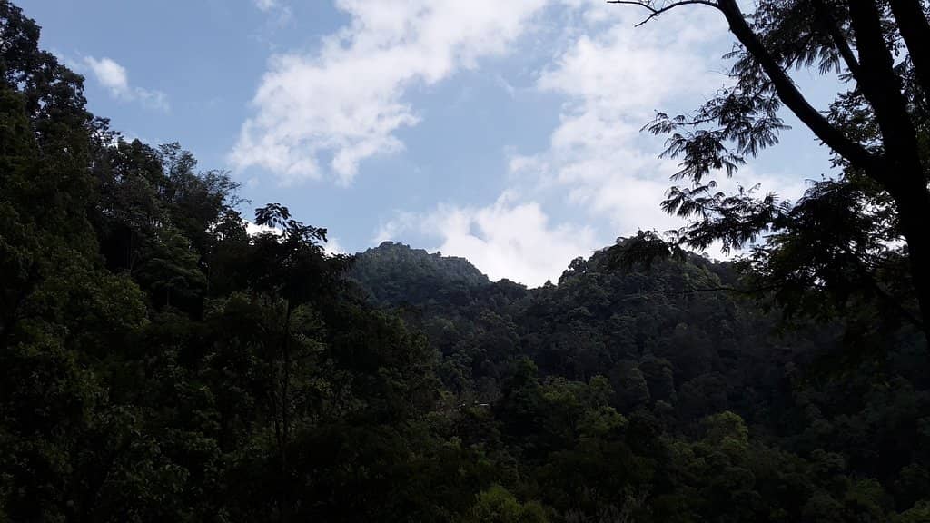 Panoramic Viewing Decks