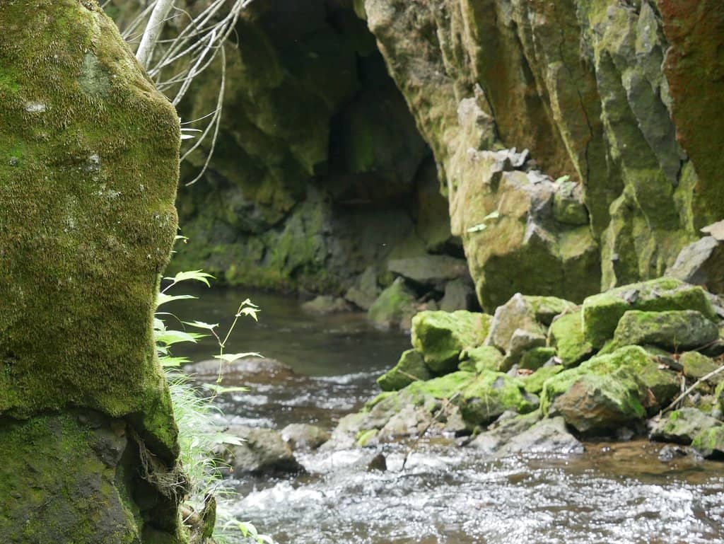Moss-Covered Cliffs