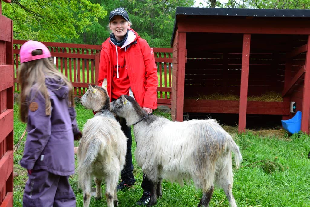 Kid-Friendly Play Areas