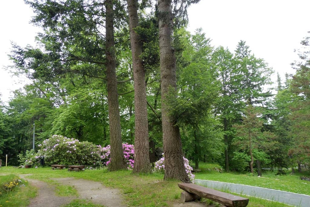 Intricate Wall Paintings