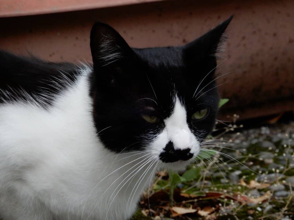 Adventure Course Exploration