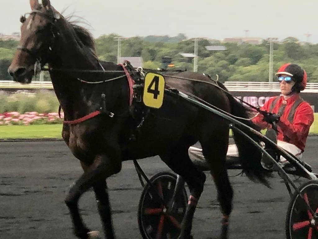 Les Dimanches Plaisirs