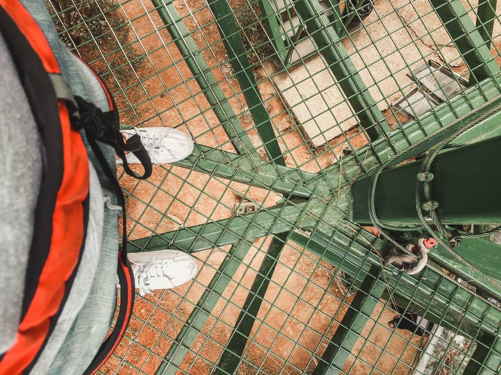 Skywalk Views