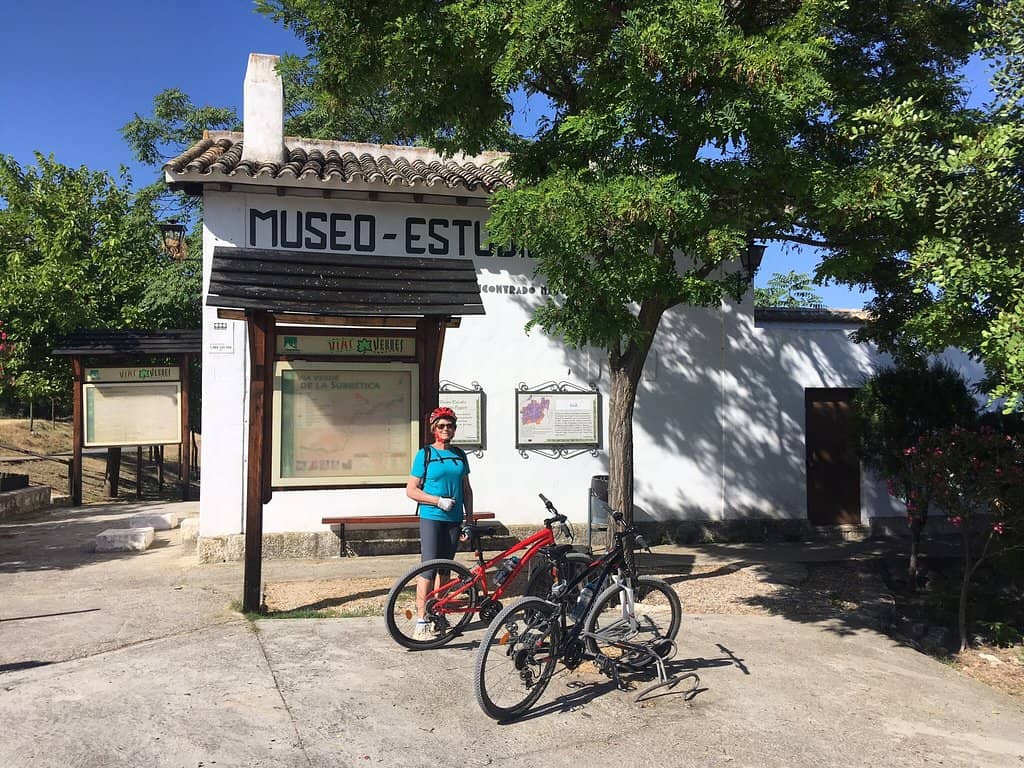 Olive Grove Landscapes