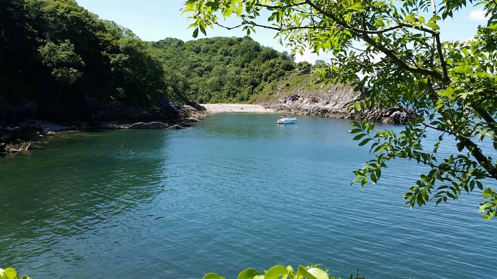 Vertical photo