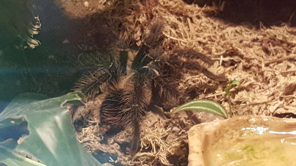 Adventure Playground