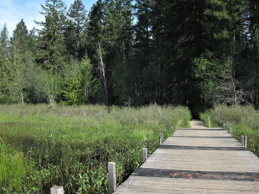 Serene Walking Trails