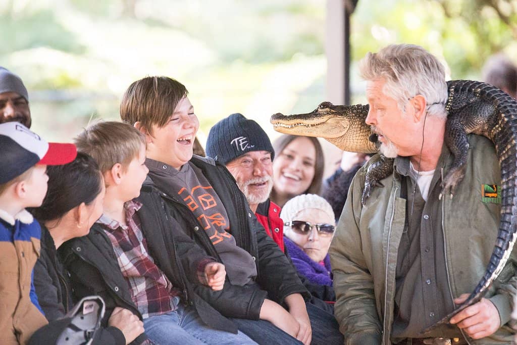 Giant Reptiles & Native Animals