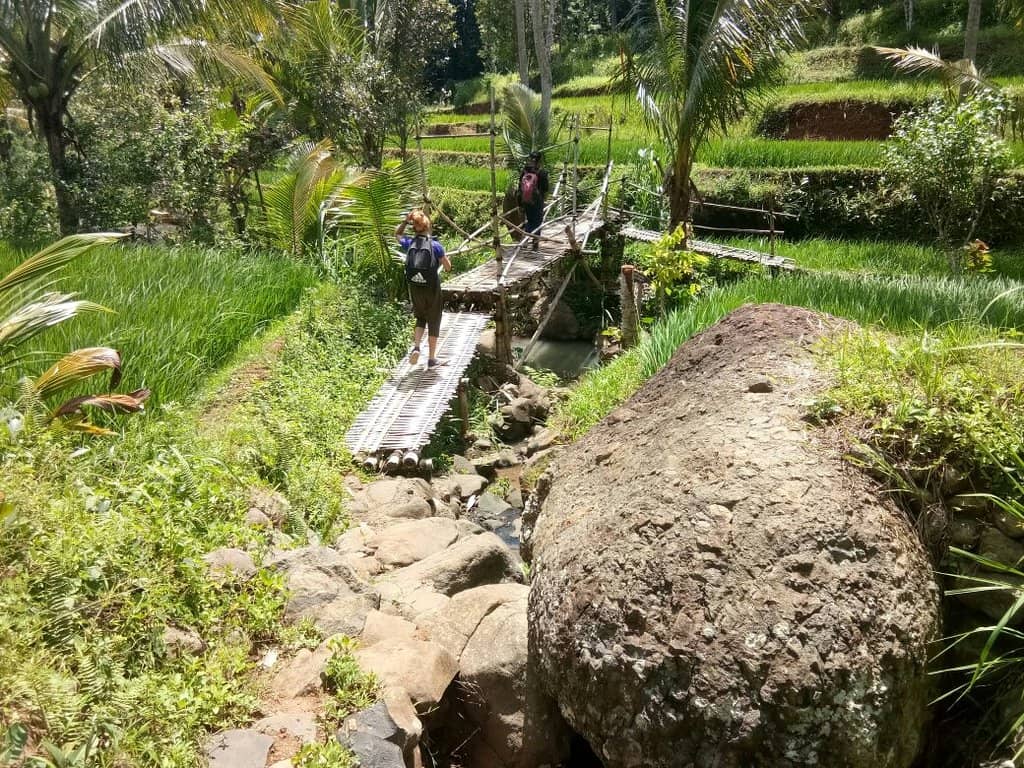 Rice Terrace Hike