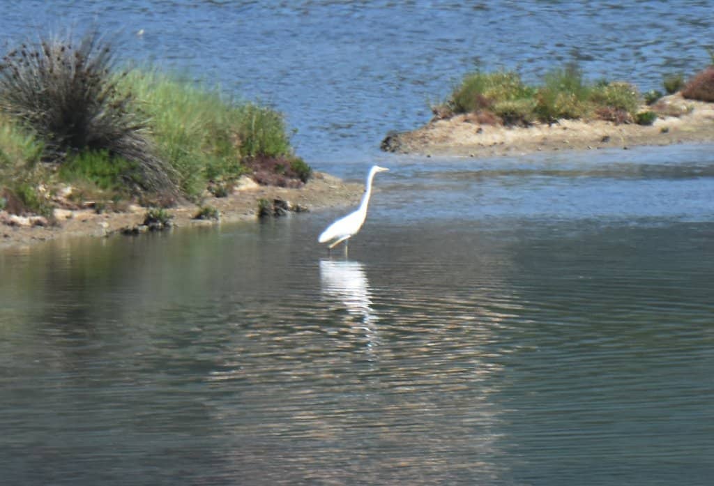 Peaceful Nature Walks
