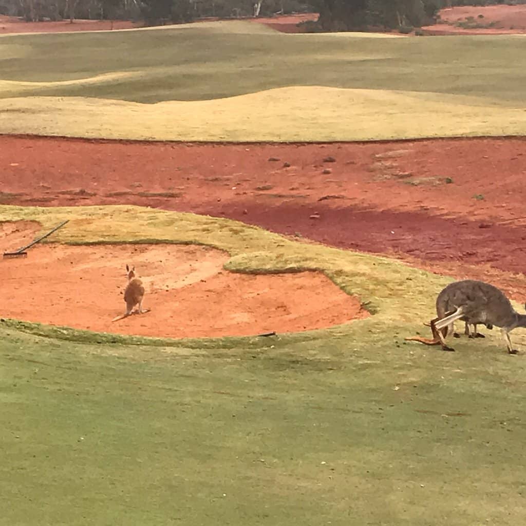 Kalgoorlie Golf Course