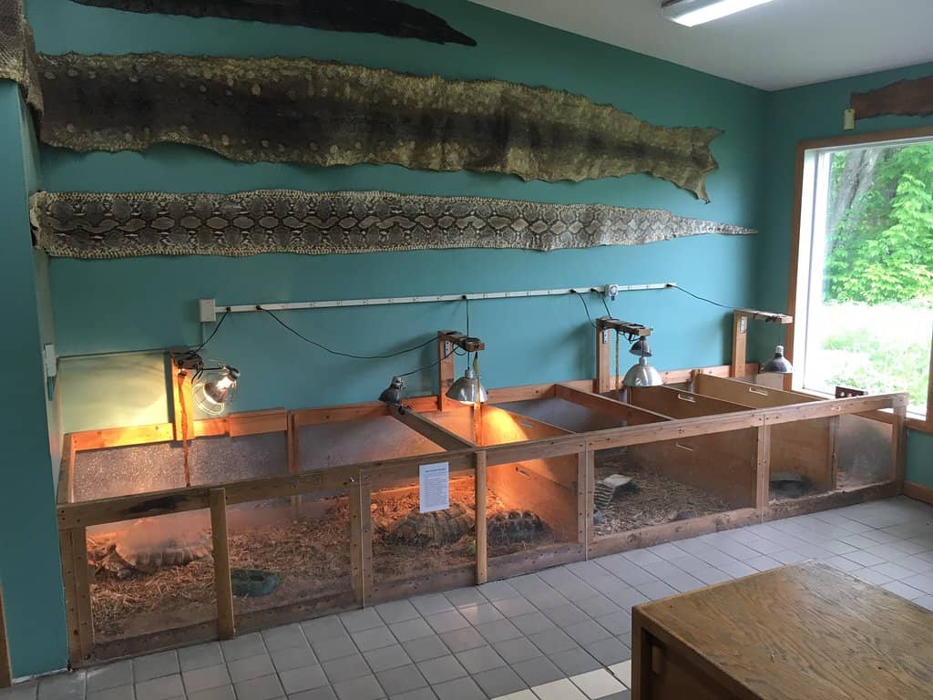 Expansive Outdoor Grounds & Trails