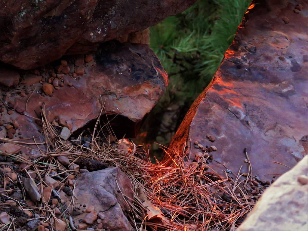 Woods Canyon Lake Access