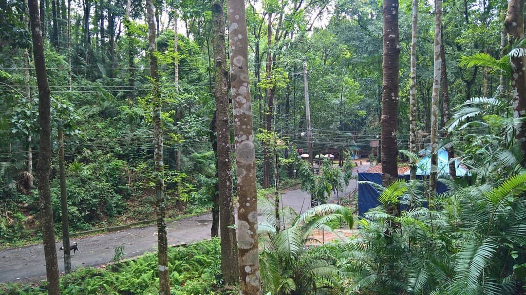 Tranquil Walking Trails