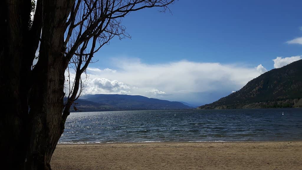 Family-Friendly Playground