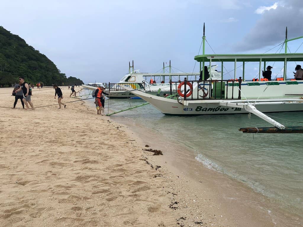 Tranquil Hammock Lounging