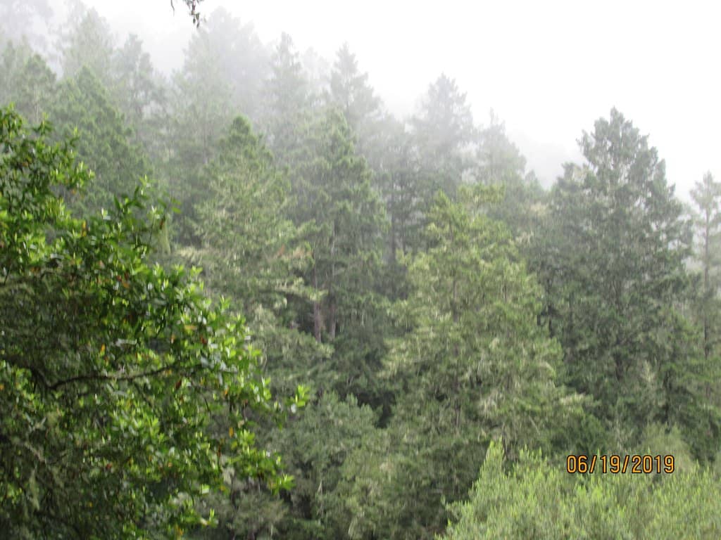 Diverse Ecosystems