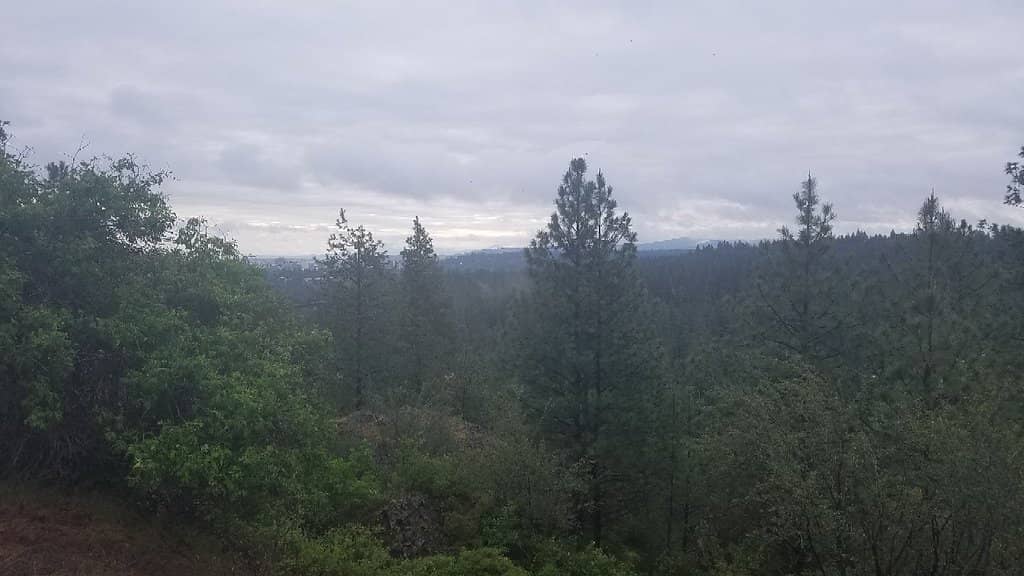 Picnic Spots with a View