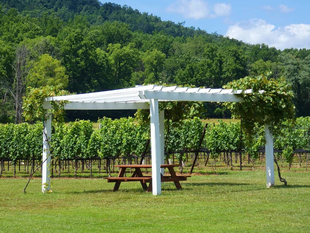 Wine Flights & Pairings