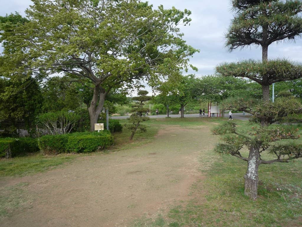 Shibamata Approach