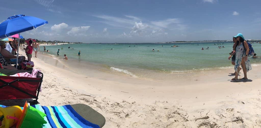 Jetties & Marine Life