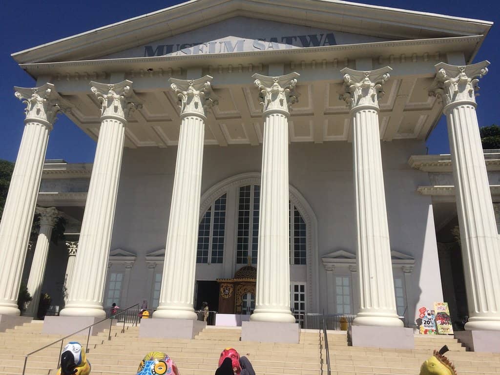 Preserved Animal Dioramas