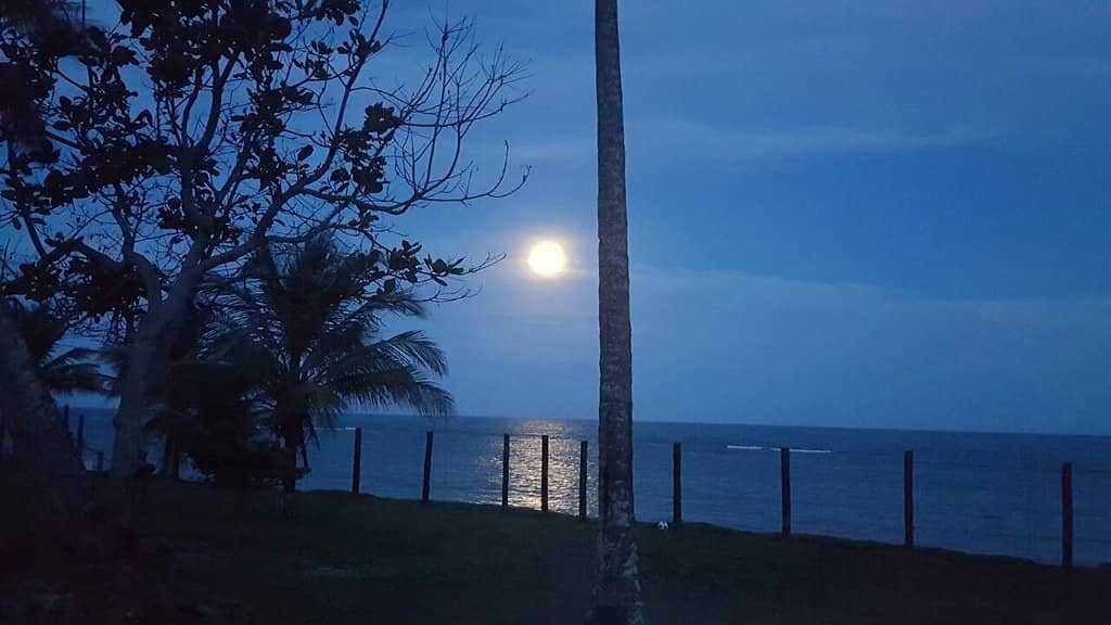 Kiosk Dining Experience