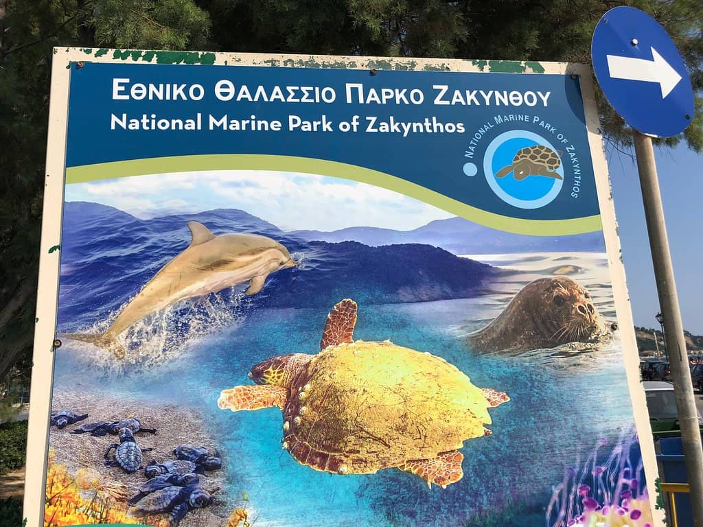 Kalamaki Beach