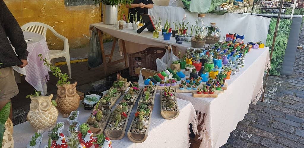 Pottery Finds