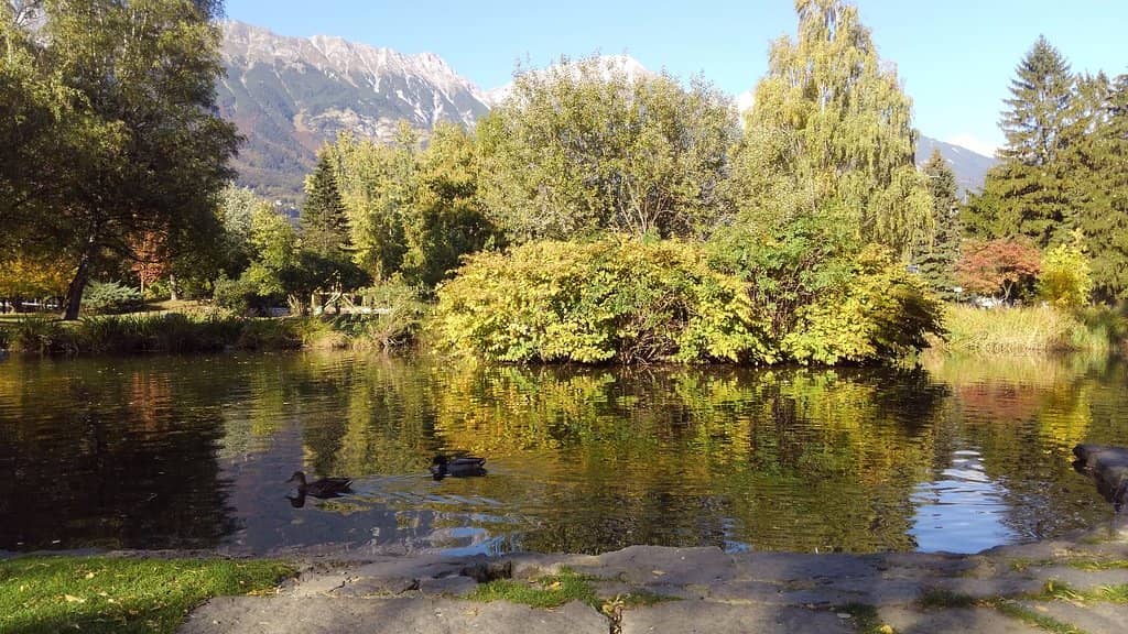 Riverside Relaxation