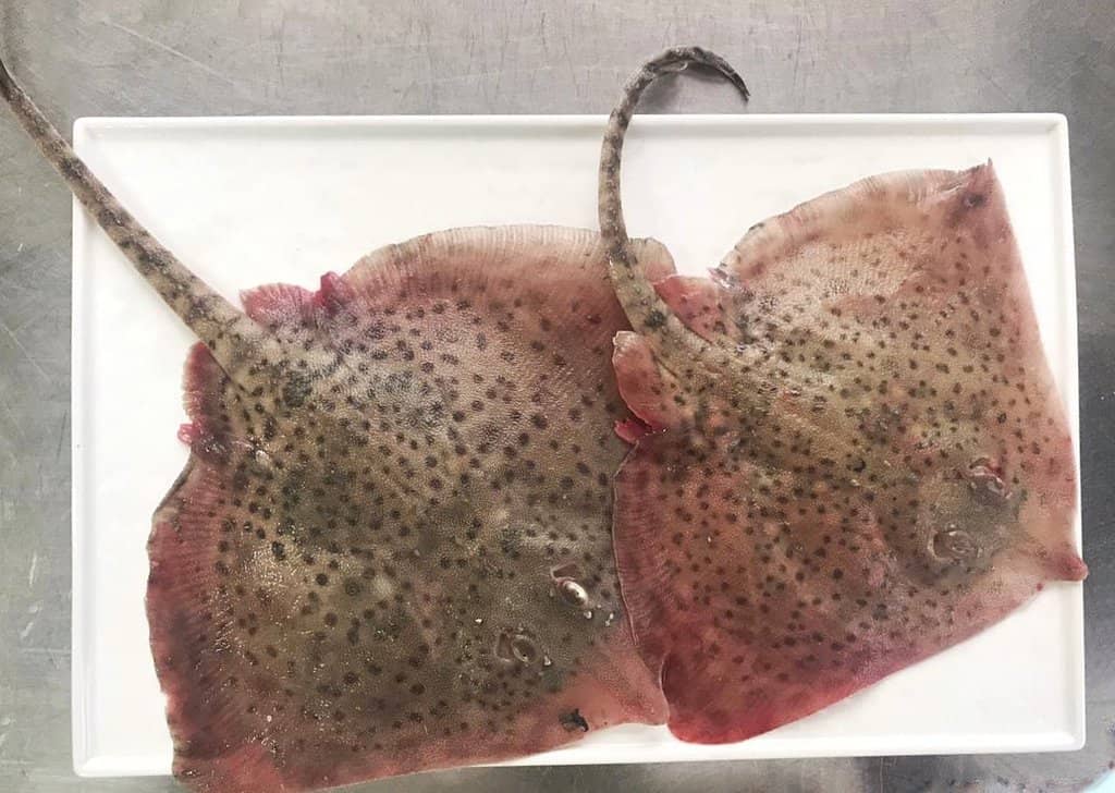 Out-of-this-World French Fries