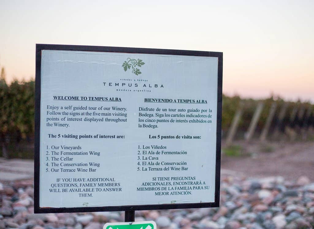 Vineyard Views & Wine Tasting