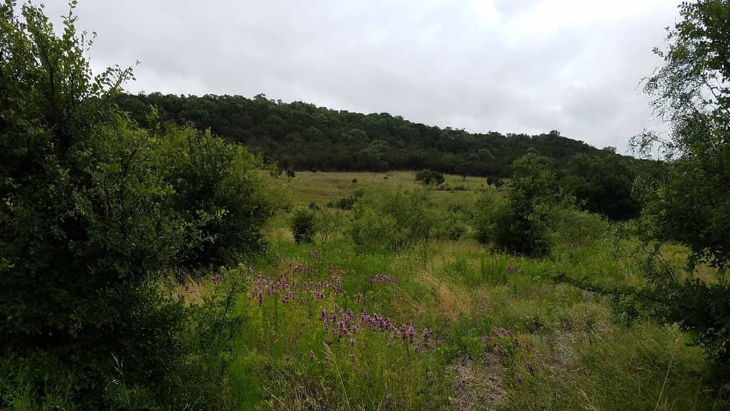 Doeskin Ranch Trails