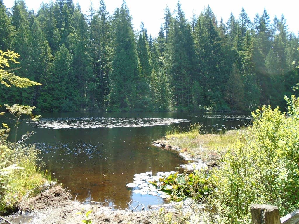 Off-Leash Dog Areas