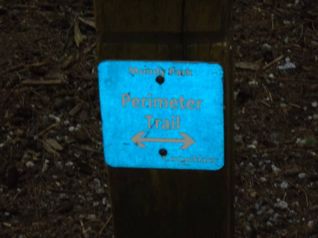 Disc Golf Course