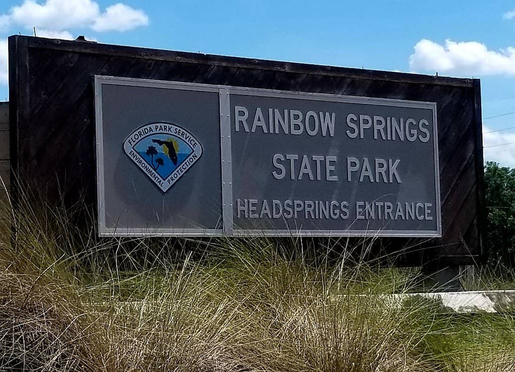 Rainbow River Tubing