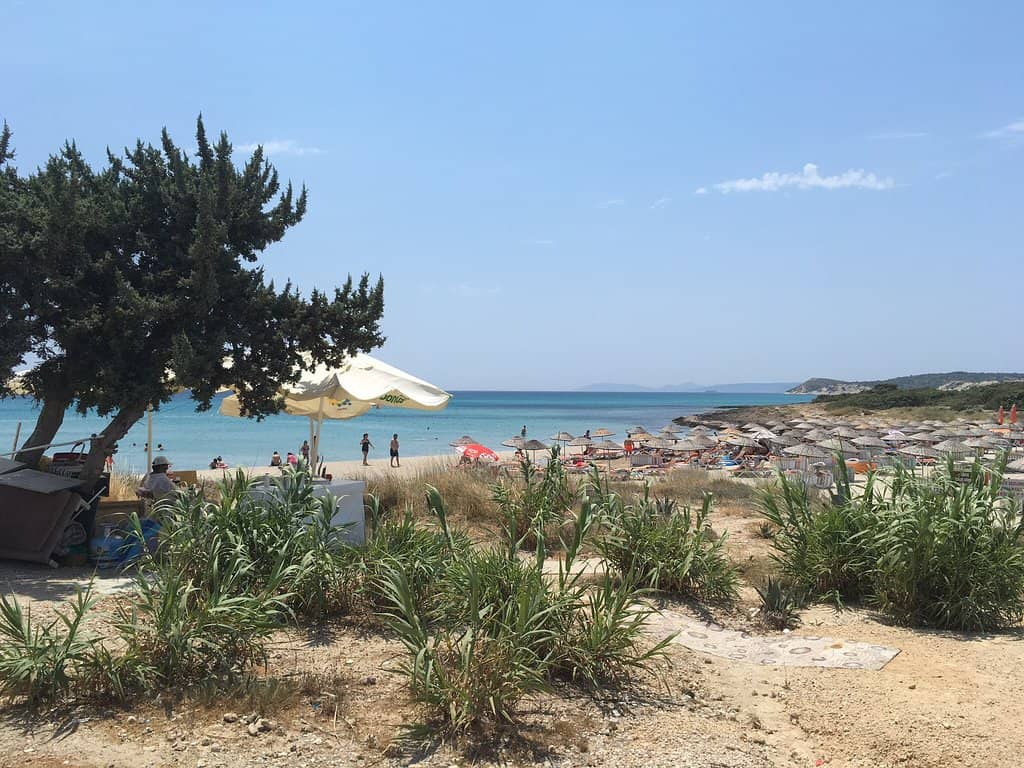 Vibrant Beach Club Scene