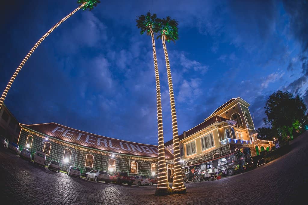 Champagne Tasting Experience