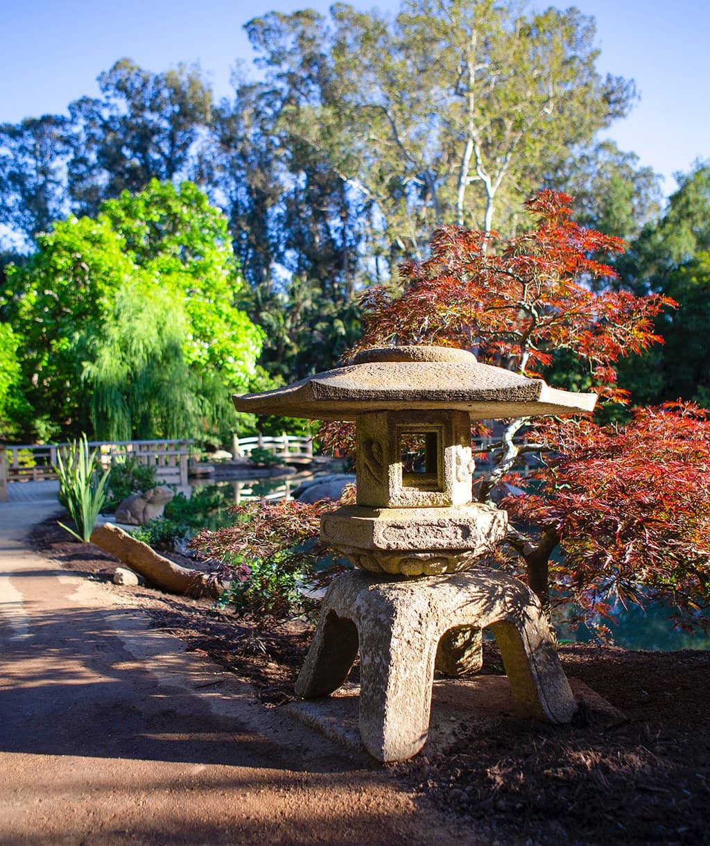 The Serene Cactus & Euphorbia Garden