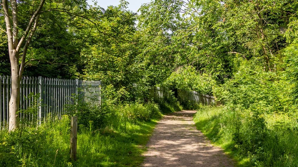 Children's Play Area