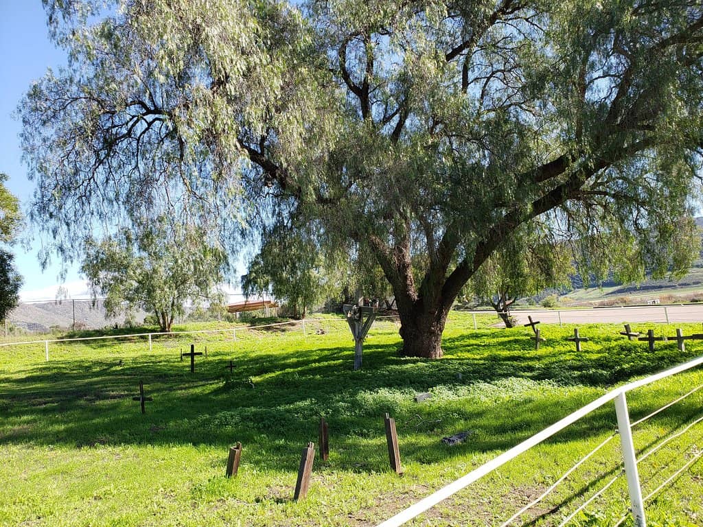 Junior Archaeologist Program