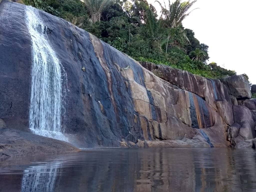 Jungle Trek to Ponta Negra