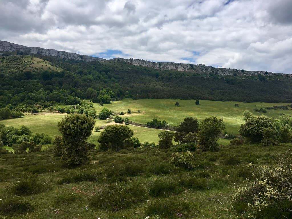 Panoramic Vistas