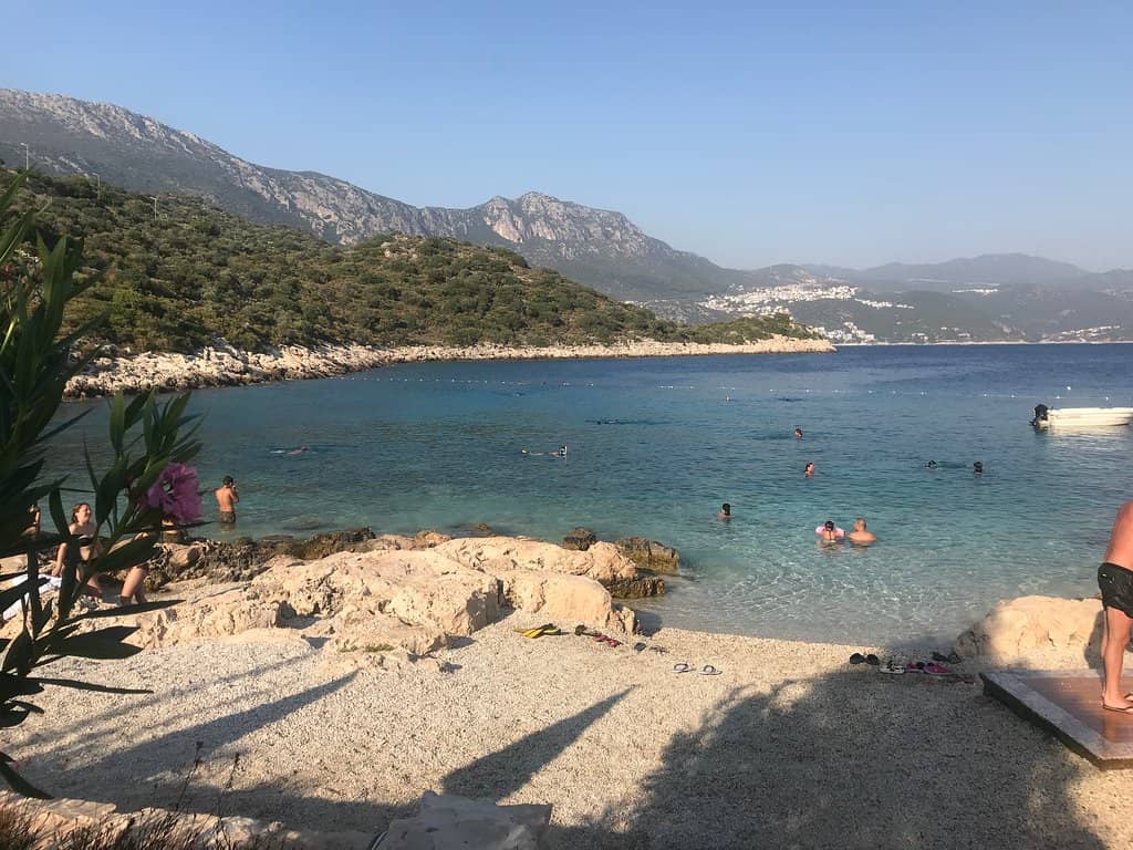 Marine Life Encounters