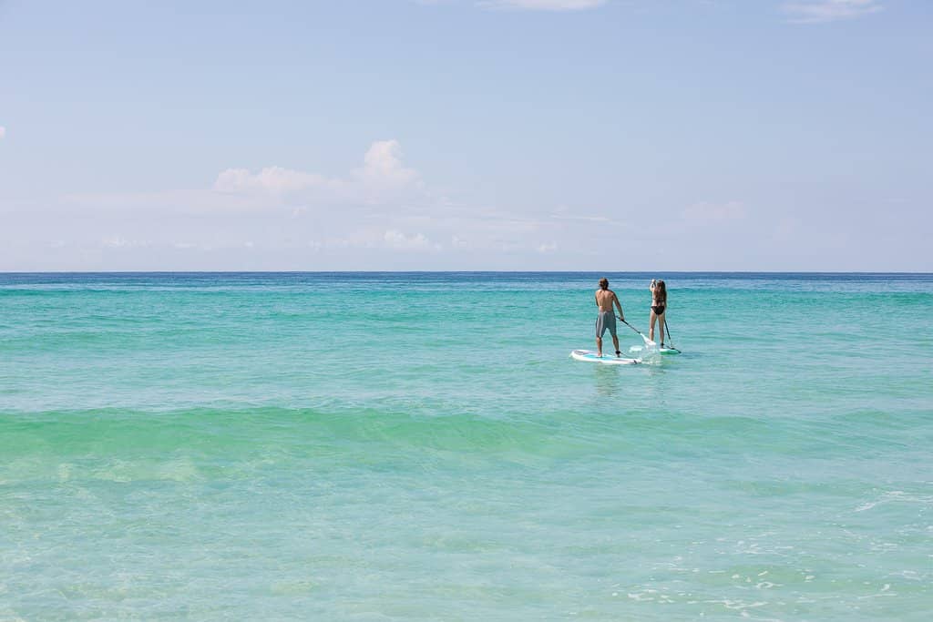 Sea Turtle Sightings