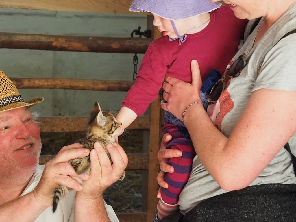Historic Agricultural Machinery