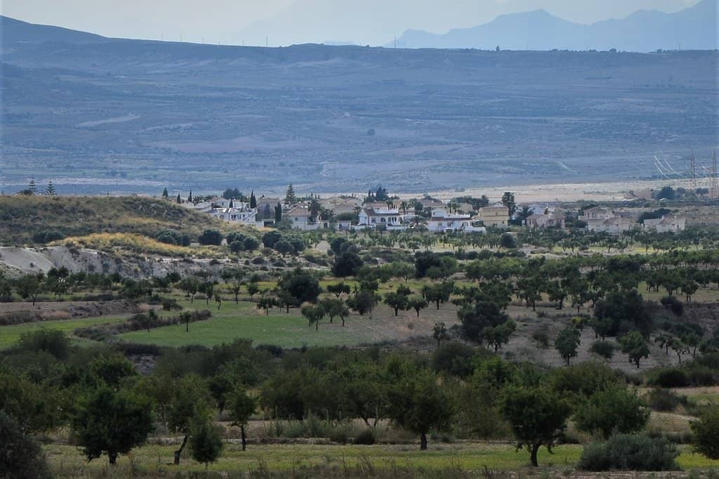 Puerto de Mazarrón Connection