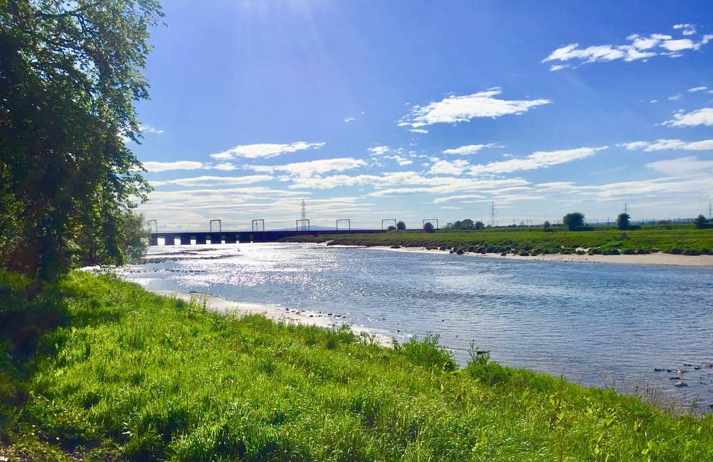 Exceptional Value Set Menus