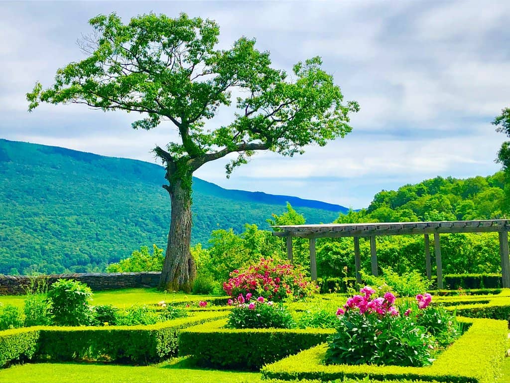 Formal Gardens